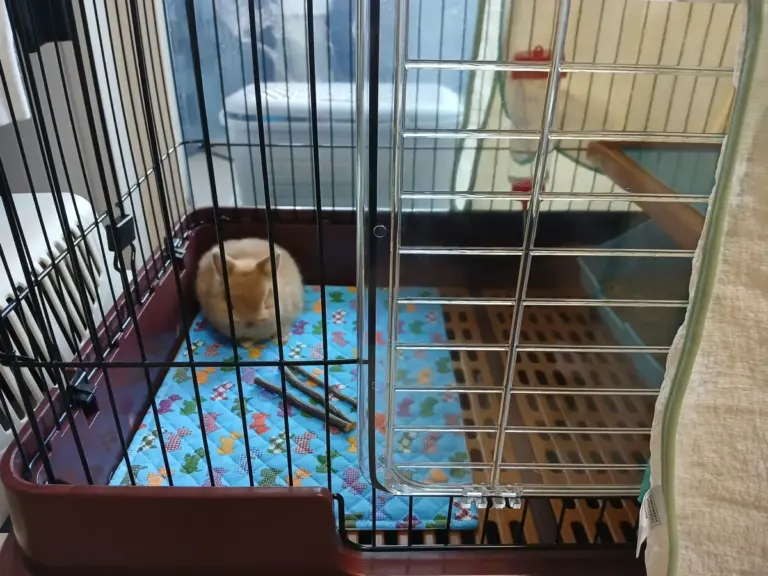 First meeting