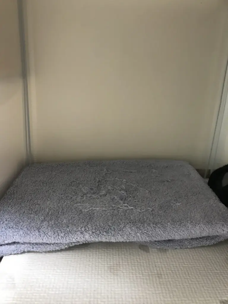 Summer cooling setup inside the rabbit enclosure