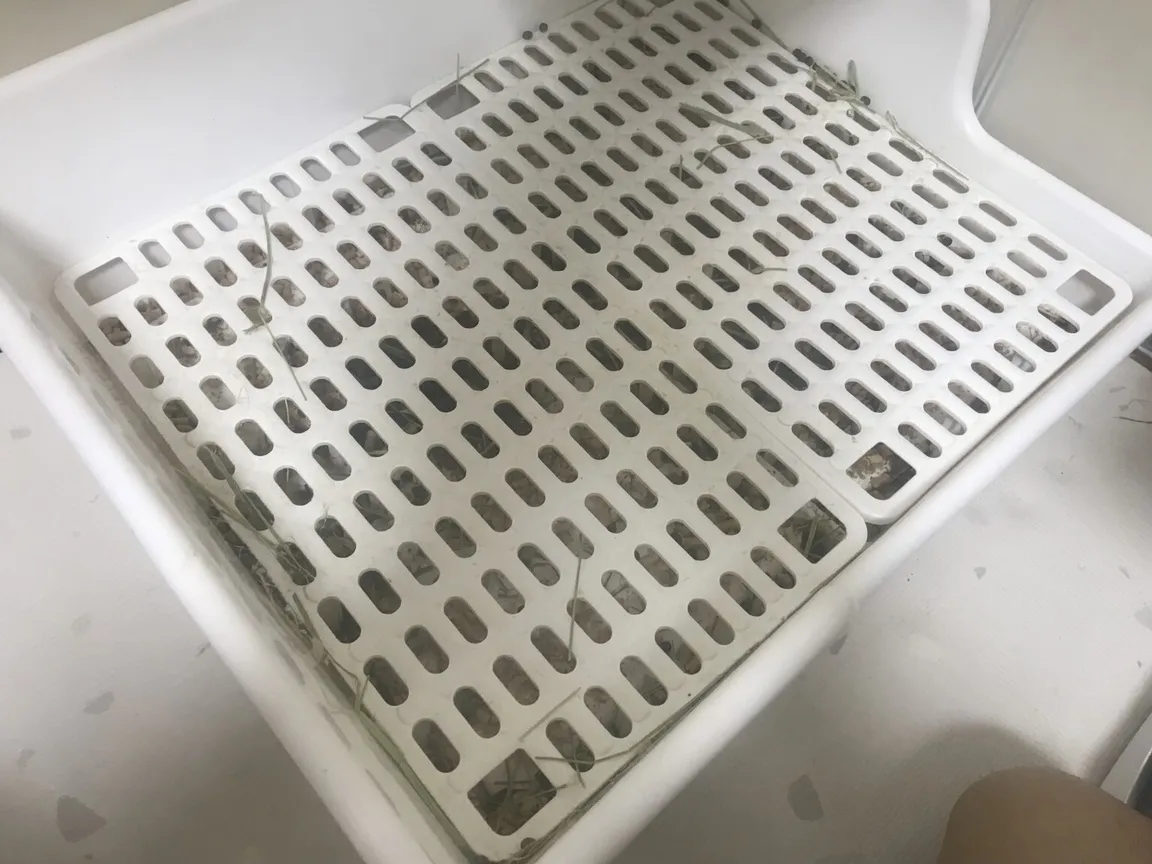 Large rabbit litter box with plastic grate cover
