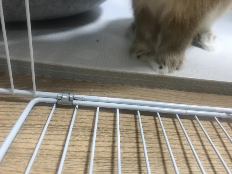 Close-up of a cushion mat edge showing roughly 1.5 cm of padding, with a rabbit's front paws standing on the mat and bare wood floor outside the enclosure
