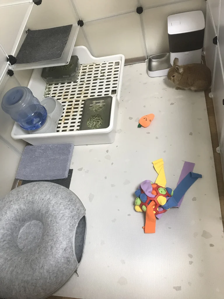 Inside a DIY rabbit enclosure with opaque panels: litter box with grate topped by hay bins and a water dispenser, automatic pellet feeder with stainless bowl, felt donut hideout, and toys scattered on the mats, with a Netherland Dwarf standing by the feeder