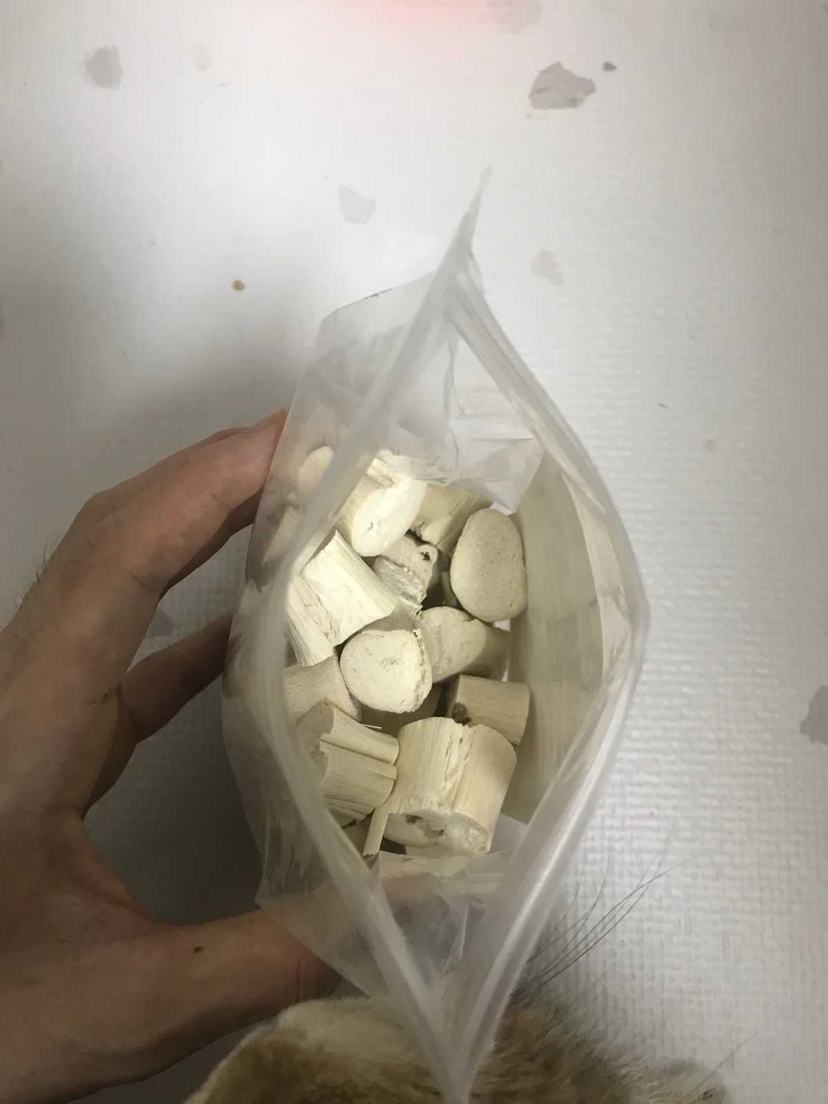 Bag of freeze-dried sugarcane chunks for rabbits, with a curious rabbit peeking into the frame at the bottom