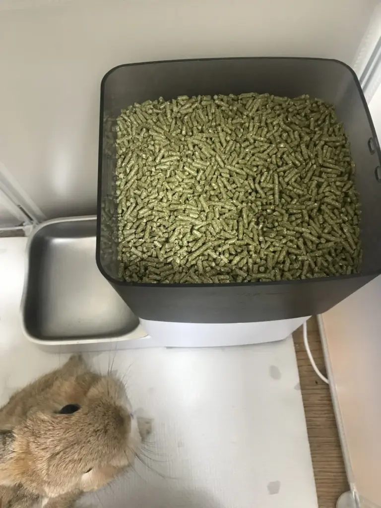 Refilling the automatic feeder with Oxbow rabbit pellets