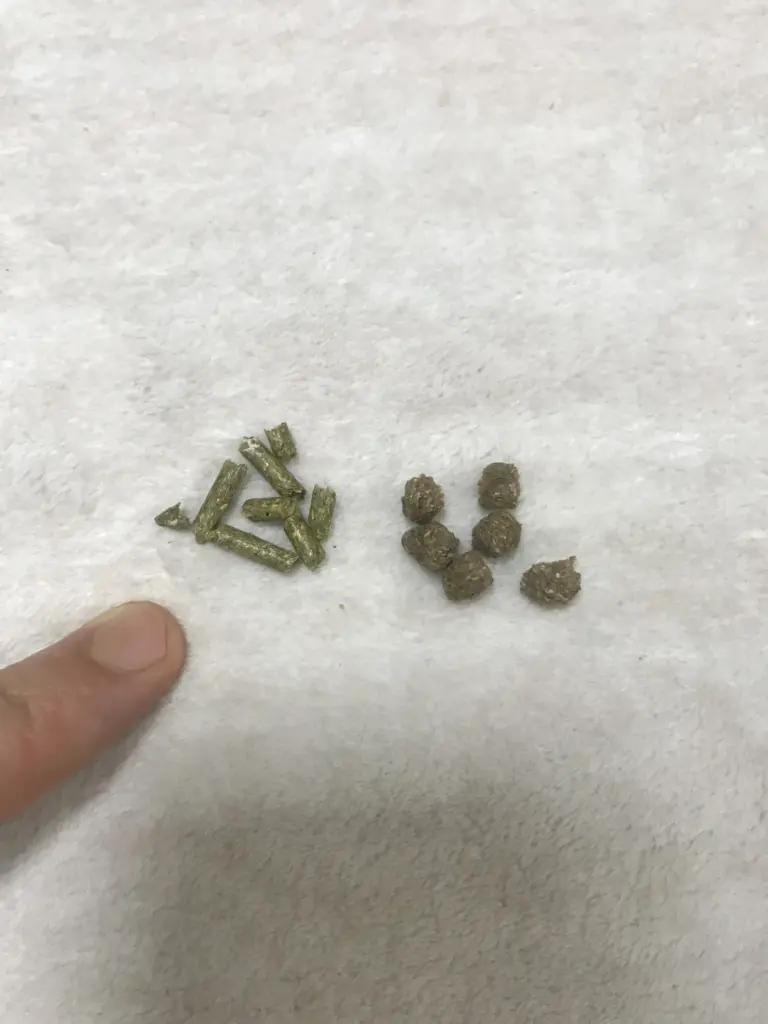 Oxbow and Genesis rabbit pellets compared side by side as part of a balanced rabbit diet