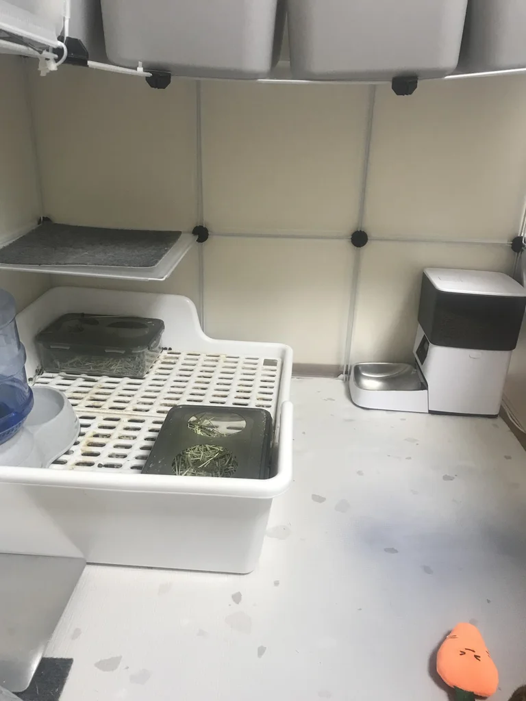 Two-tier opaque panel walls and partial ceiling of a DIY rabbit enclosure seen from inside