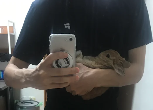 Mirror photo of a rabbit held snugly against the owner chest with one arm supporting his hindquarters