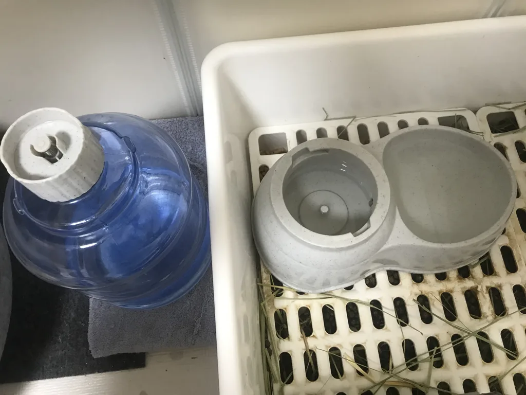 Water dispenser valve disassembled for the weekly scrub